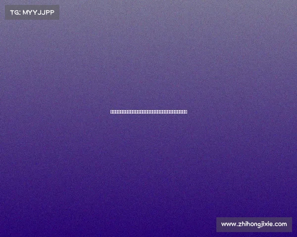 黑马球队崛起之路：突破重围实现逆袭梦想，挑战传统强队的霸主地位