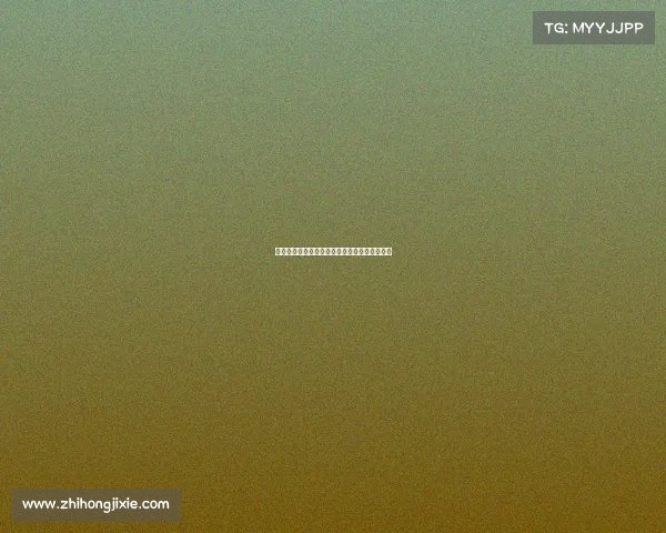 网球赛场背后的不为人知的故事与幕后英雄揭秘