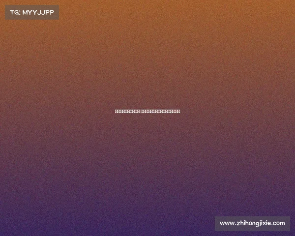 英超球迷看台热情四溢 揭示球迷文化与主场氛围的独特魅力