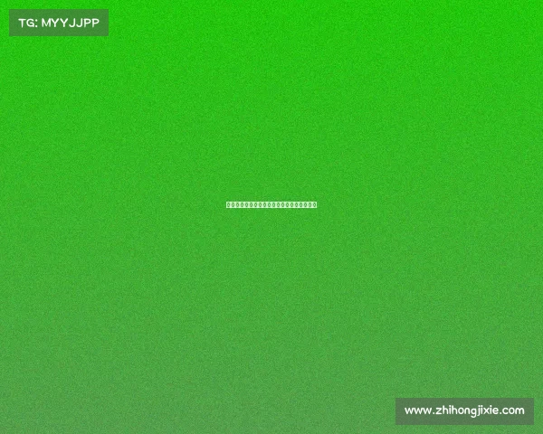 黑马崛起逆袭局势爆冷夺冠震惊全场引发热议